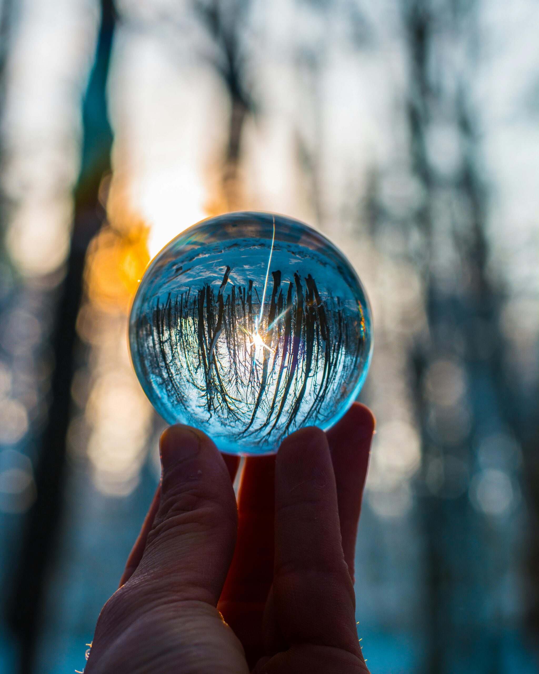 A hand holds a crystal ball reflecting a forest at sunset, showcasing a magical and reflective nature scene.